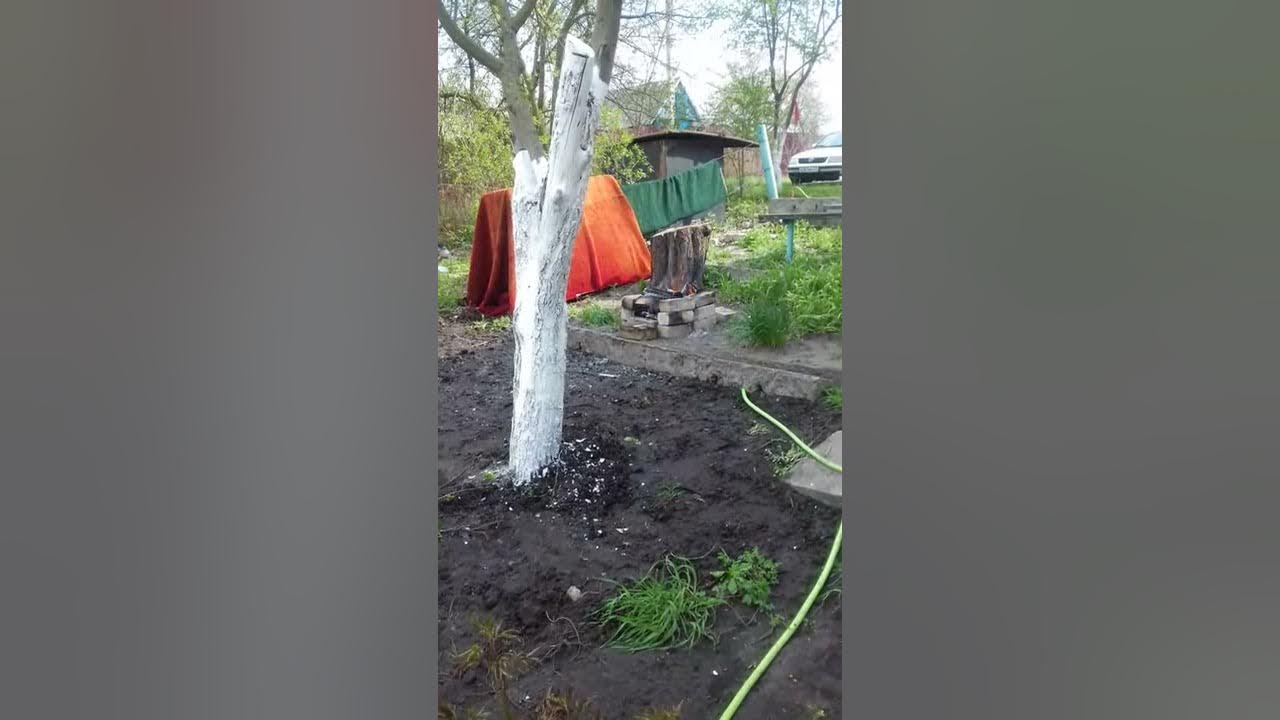 Дача! Весна. Как все начиналось весной 2020. - YouTube