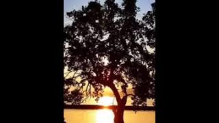 Glenn Bastian - sa lelah (official music video)