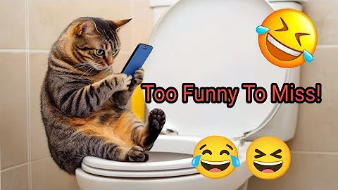 Video 11427601: cats cute pets compilation, funniest pets compilation