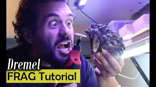 How To Frag Corals With A Dremel