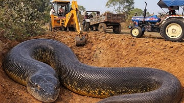 New JCB 3dx Eco Loading Mud Tractor
