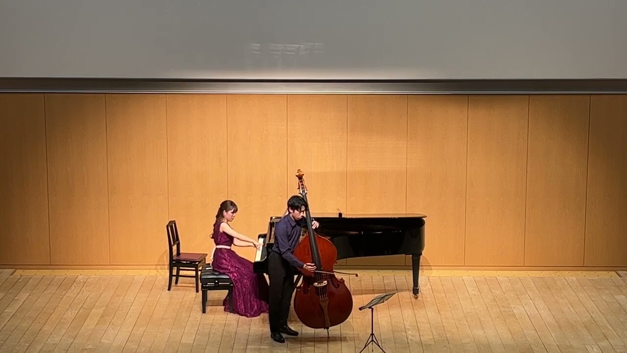 Robert Schumann: Träumerei, 