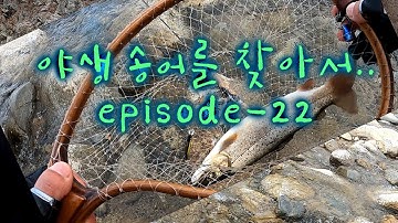 야생송어를 잡으려 갔는데 ..EPISODE22 #송어낚시 #계류송어