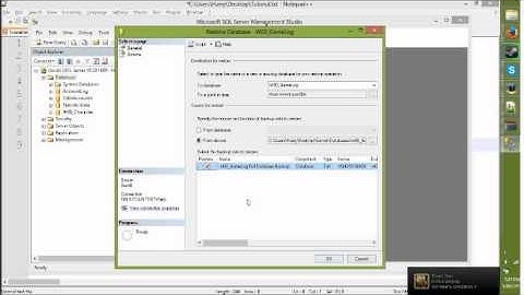 How to make an updated Fiesta Private Server