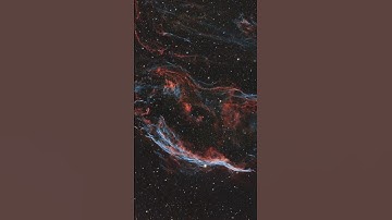 The Cygnus Loop