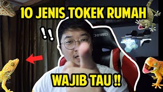 TOKEK RUMAH ANEH LAKU PULUHAN JUTA !! KAYA GIMANA ?