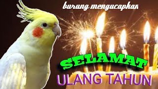 BURUNG Bernyanyi Selamat Ulang Tahun