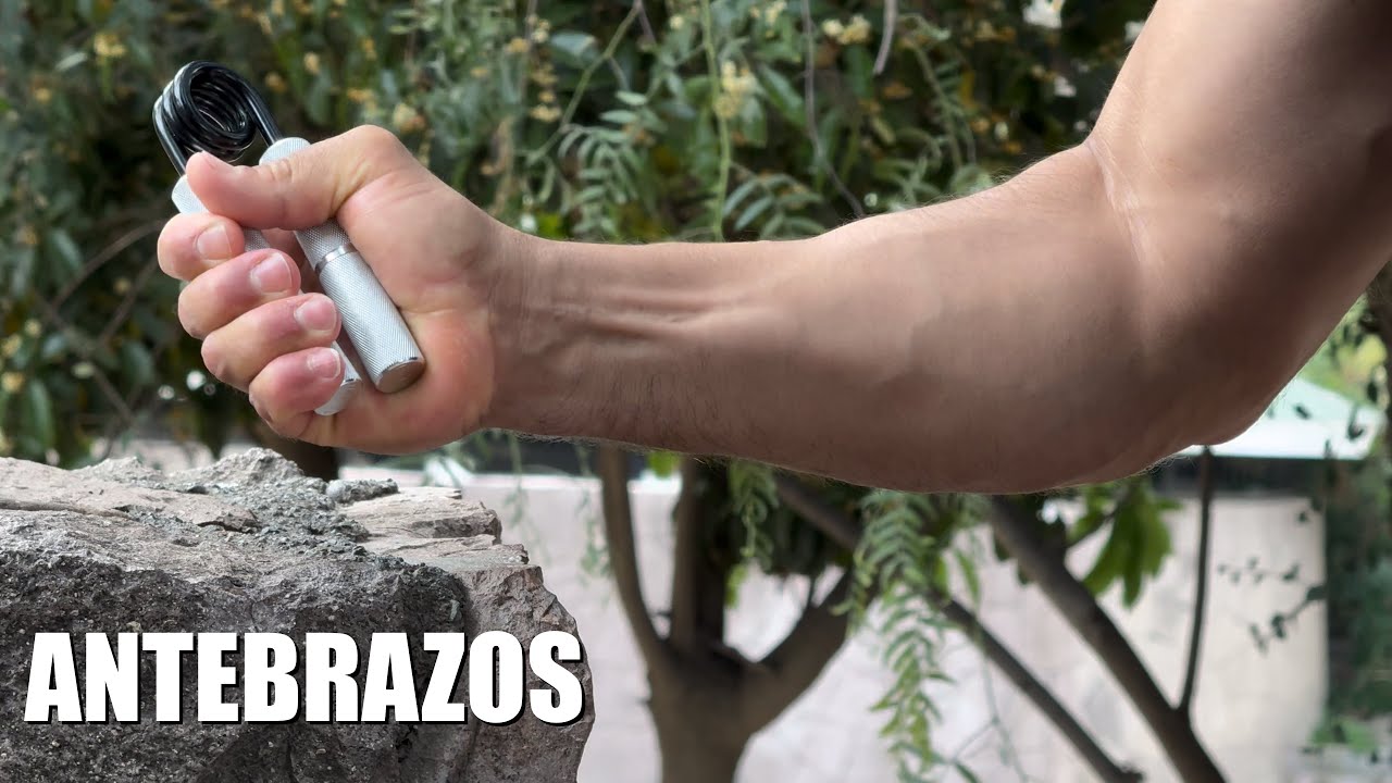 RUTINA DE HANDGRIPS para HIPERTROFIA DE ANTEBRAZOS Y FUERZA