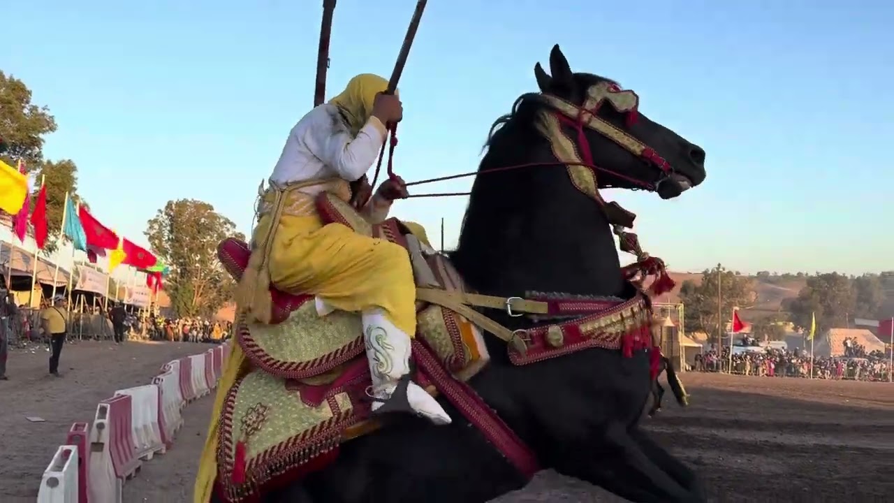 مباشرة من موسم راس