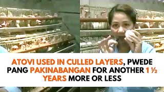 Atovi used in Culled Layers, Pwede Pang Pakinabangan for another 1 1/2 yrs. more or less | Demo Farm screenshot 3