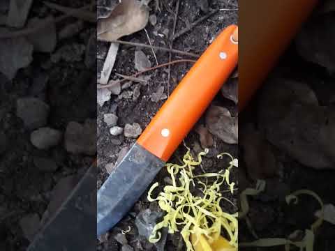 Tent Stake Feather Stickin' with a Pronghorn!