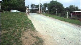 M4H04010.MP4