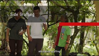 PEP 1f SideGrafting Wealth
