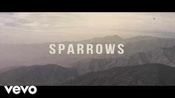 Jason Gray - Sparrows (Lyric Video)