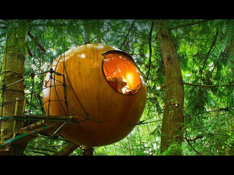 Video: Dünyanın Neresinde Ağaç Evler Var