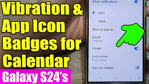 Galaxy S24/S24+ Ultra: Customize Calendar Notification Vibrations & App Badges 🗓️🔔