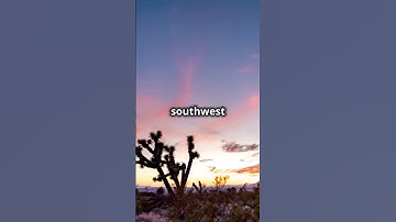 2025 Planetary Alignment |Once in 396 billion years event| January 25th | Universal Universe