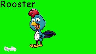 Go Eco Rooster
