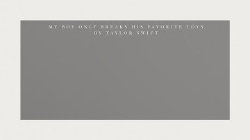 Taylor Swift - My Boy Only Breaks His Favorite Toys (Official Lyric Video)