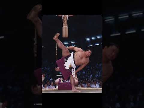 体癖観察  相撲  貴景勝五種  炎鵬九種