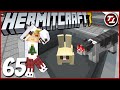 A Complete Cat-astrophe! - Hermitcraft 7: #65