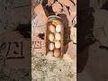 Hatch eggs without incubator 100% real video ||Egg incubator without electricity ||Sunlight hatching