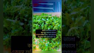🌿 Kitchen Secrets | How to store Coriander for 6 Months ✨ #KitchenTricks #BanglaVideo #ReelsIndia#f
