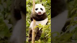 14 De Febrero De 2020