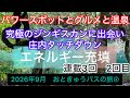 9月のおときゅうの旅2天気回復につき北へ向かいました #大人の休日倶楽部パス   #コスパ旅 #旅行記