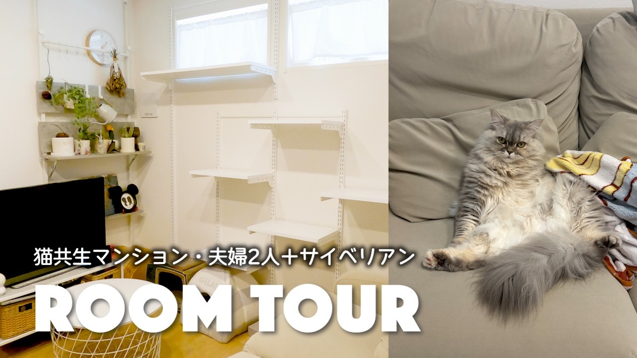 【ルームツアー】猫共生マンションに住む夫婦とサイベリアンの暮らし｜窓辺のキャットタワー｜可動式ステップ