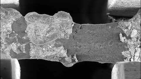 In-situ microtensile testing of iron foam strut