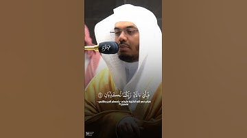 ✨ كأنهن الياقوت والمرجان | تلاوة تهز القلوب #ياسر_الدوسري #تلاوة_قرآن #القرآن_الكريم #غريد_الحرم
