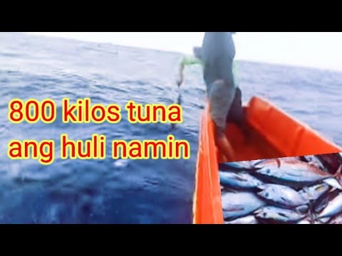 Video: Mayo Pangingisda. Ang Mayo Ay Isang Paraiso Para Sa Mga Mangingisda
