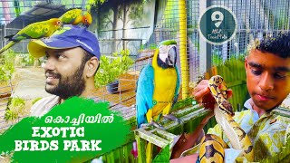 Exotic Birds Park In Kochi Pythons