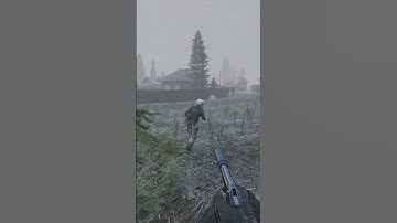 When Someone Removes Items On A Dead Body #dayz #dayone #solo #immersive #adventure