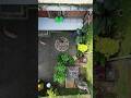 #dog #bali #dji #drone