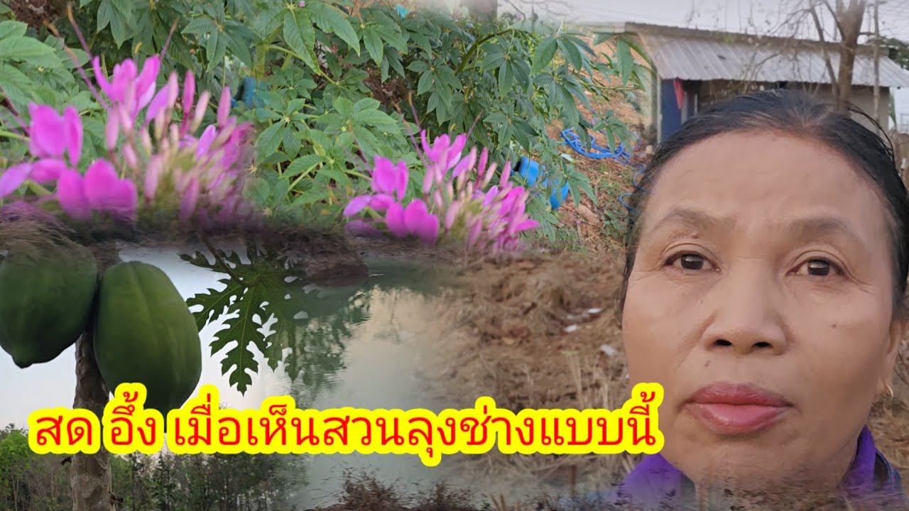 ดูแลพื้นที่ให้ลุงป้า เจอสิ่งนี้ถึงกับตะลึง#ป้าแต๋นชาเเนล 