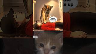 This dog tried to save her #cat #dog #animals #sad #shorts