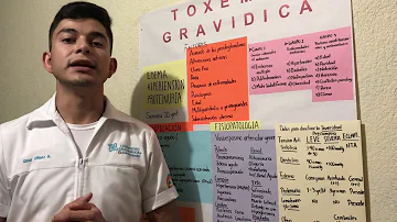 O que quer dizer toxemia gravídica?
