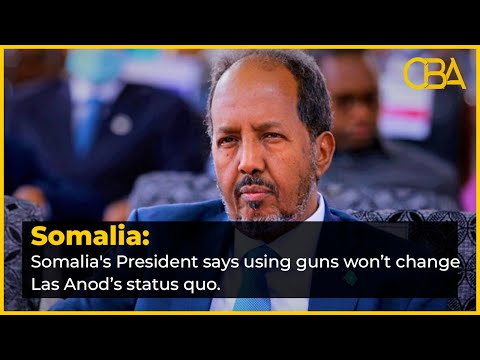 Somalia's President says using guns won’t change Las Anod’s status quo