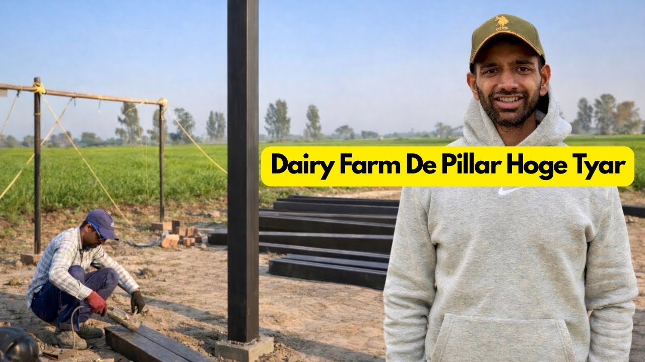 New Dairy Farm de Shed De Pillar Hoge Tyar.