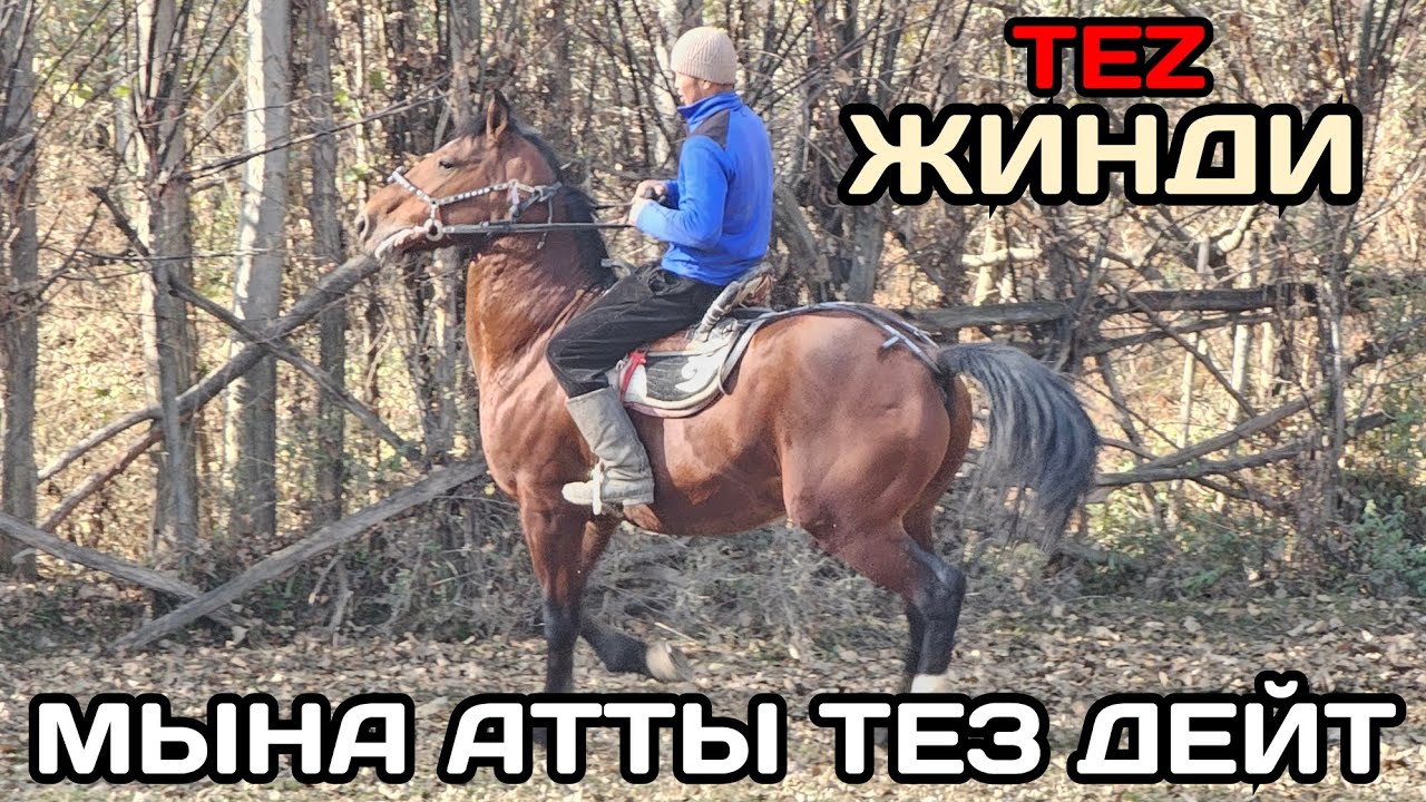 СКОРОСТь БЕЩЕННЫЙ ЭКЕН ЖИНДИДЕ😱