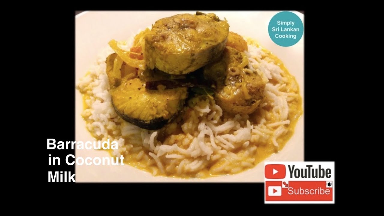 Barracuda in Coconut Milk  ( රසට තෙලියා මාලු කිරට හදමු )