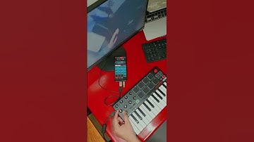 Funkyyy with Koala Sampler