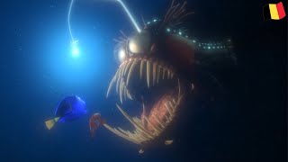 Finding Nemo Anglerfish Scene Flemish