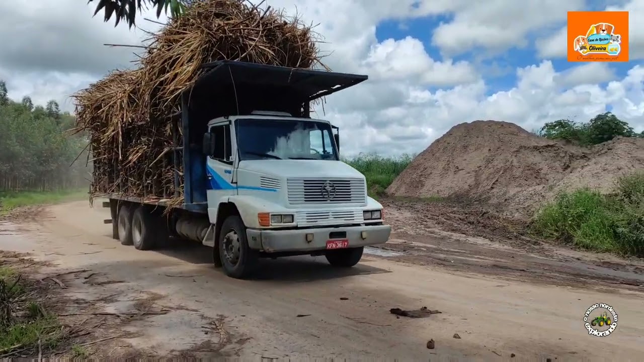 USINA SANTA MARIA AINDA CHEGANDO CANA A TODO VAPOR!!