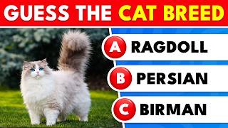 Guess The Cat Breed - Cat Breed Quiz | Cat Lovers QUIZ | Knowlio screenshot 5