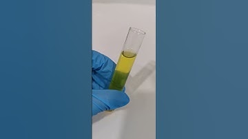 Transferring urine in a tube #laboratory #medtechstudent #cls #mls #urine