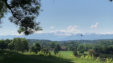 ATOMIC TREE DESASTER - RotorX Atom v3 Freestyle FPV - Crash, broke motor #TeamTotalNoobs