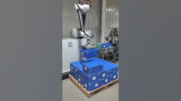 Palletizing Robotic Palletizing Picking Loading Robot Arm Handing Gripper Collaborative Palletizer